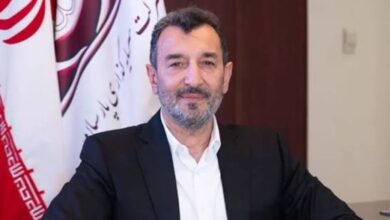 سمیعی نژاد: زنجیره ارزش گوهرسنگ