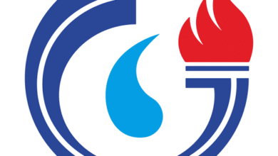 پتروشیمی عسلویه