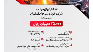 شرکت فولاد سیرجان ایرانیان